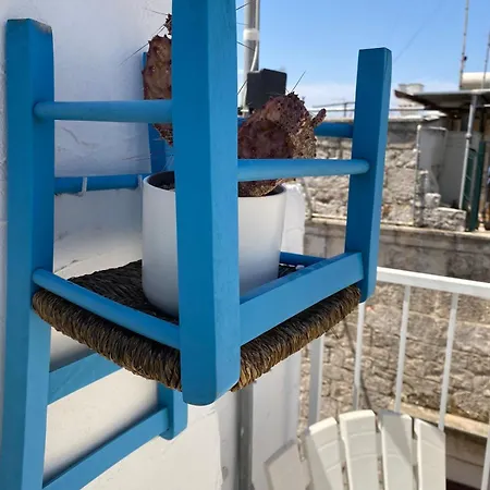 Terrazza 33 *