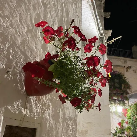 Terrazza 33 Holiday home *