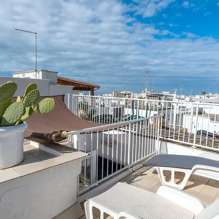 Terrazza 33